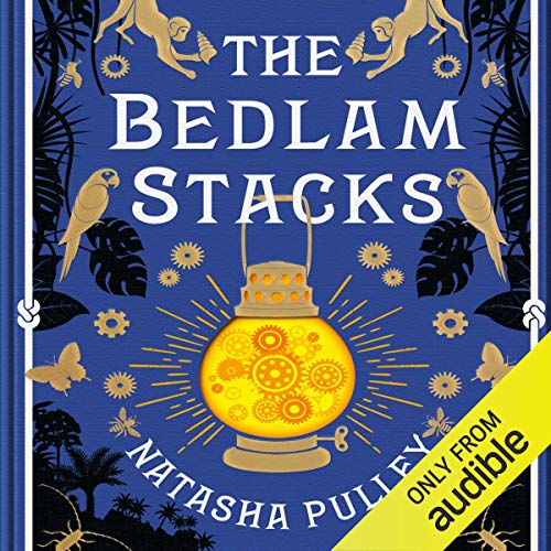 Cover of The Bedlam Stacks