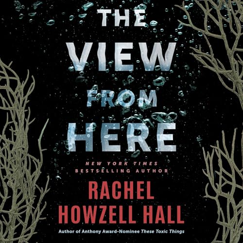Cover of The View from Here