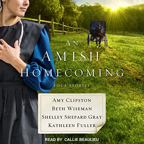 Cover of An Amish Homecoming