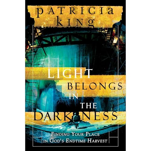 Cover of Light Belongs in the Darkness