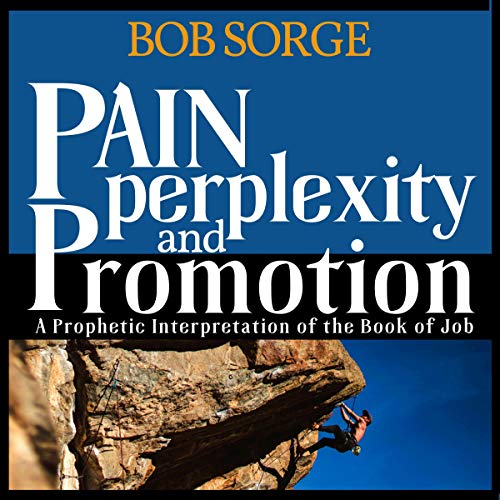 Cover of Pain, Perplexity & Promotion