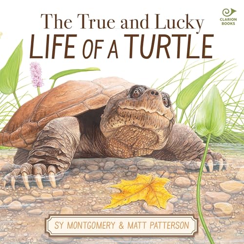 Cover of The True and Lucky Life of a Turtle