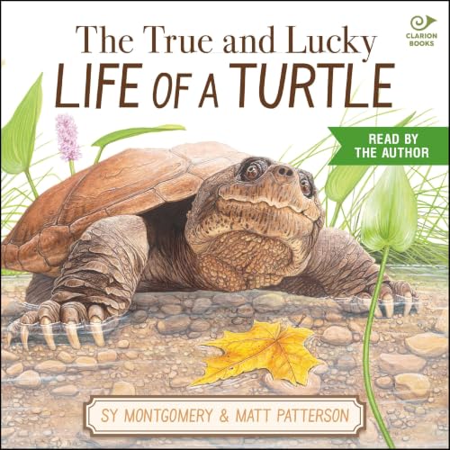 Cover of The True and Lucky Life of a Turtle