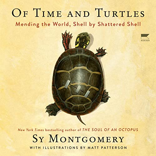 Cover of Of Time and Turtles