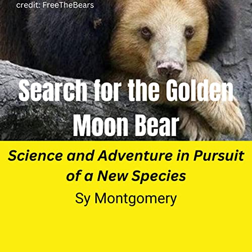 Cover of Search for the Golden Moon Bear