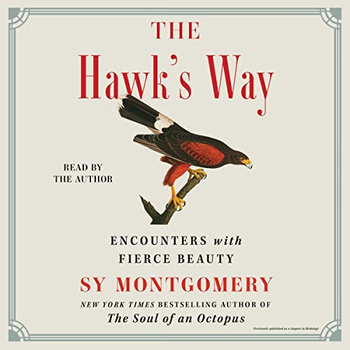 Cover of The Hawk's Way