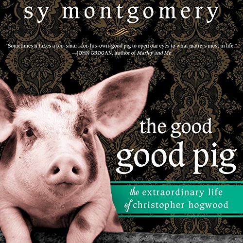 Cover of The Good Good Pig