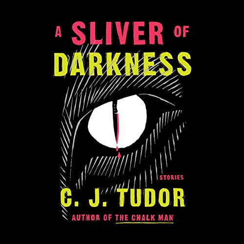 Cover of A Sliver of Darkness