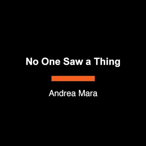 Cover of No One Saw a Thing