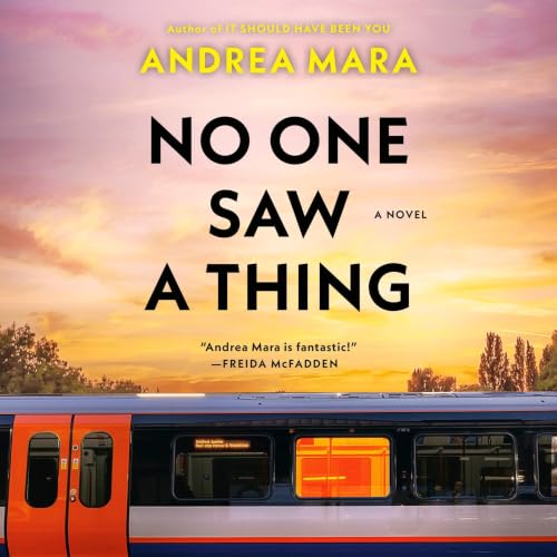 Cover of No One Saw a Thing