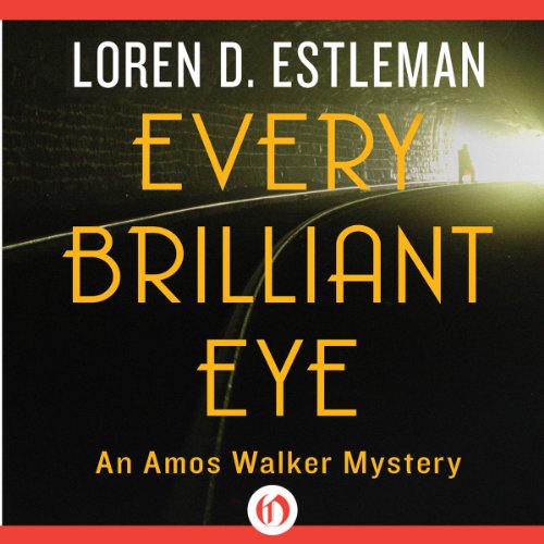 Cover of Every Brilliant Eye