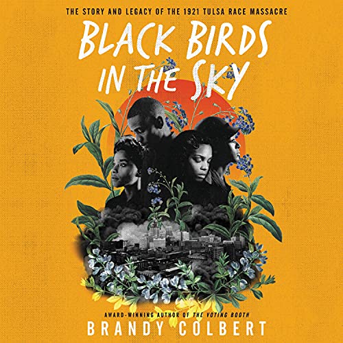 Cover of Black Birds in the Sky