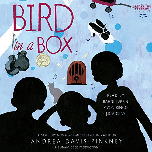 Cover of Bird in a Box