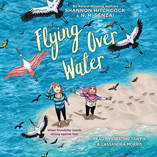 Cover of Flying Over Water