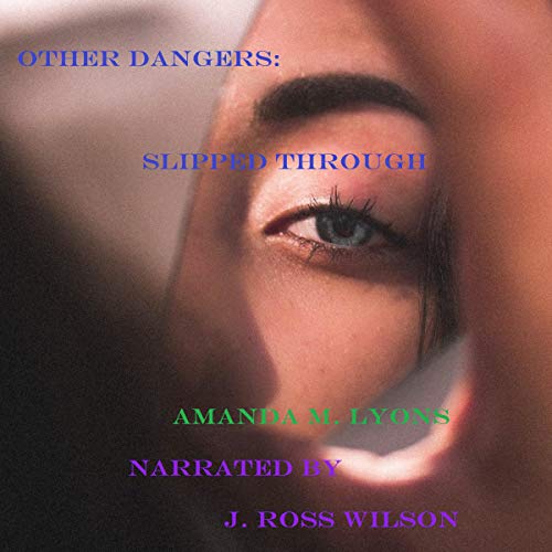 Cover of Other Dangers: Slipped Through