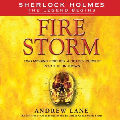 Cover of Fire Storm