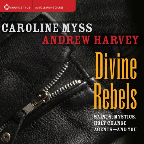 Cover of Divine Rebels