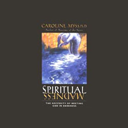 Cover of Spiritual Madness