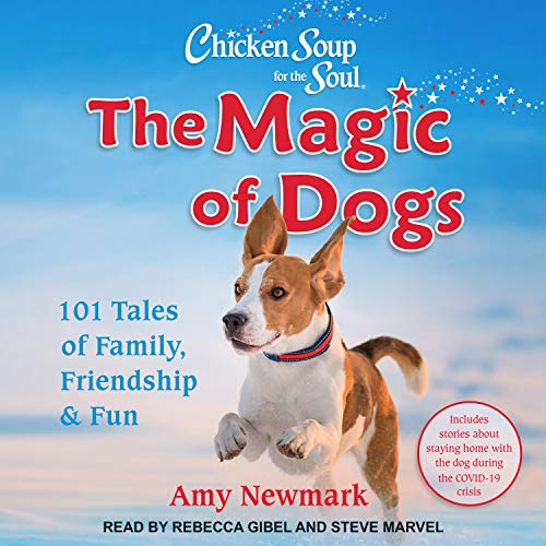 Cover of Chicken Soup for the Soul