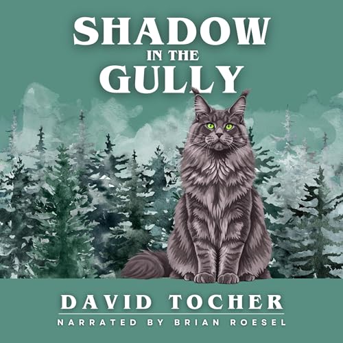 Cover of Shadow in the Gully