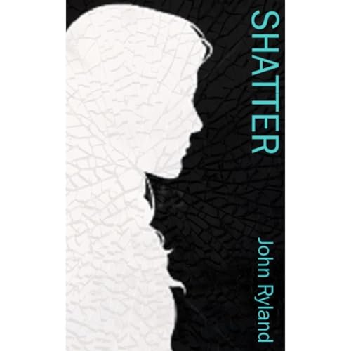 Cover of shatter