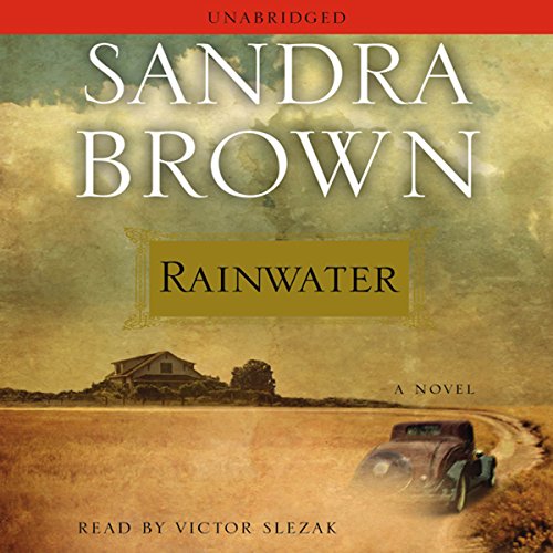 Cover of Rainwater