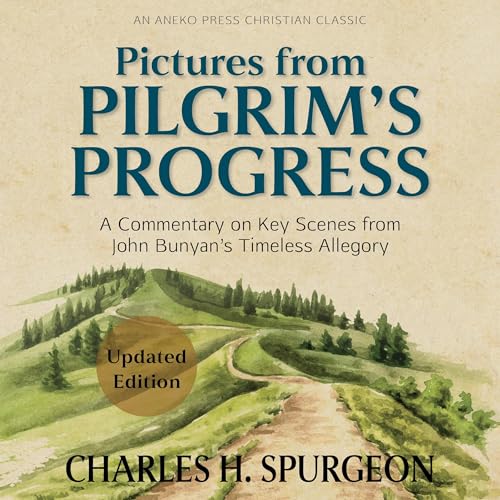 Cover of Pictures from Pilgrim's Progress