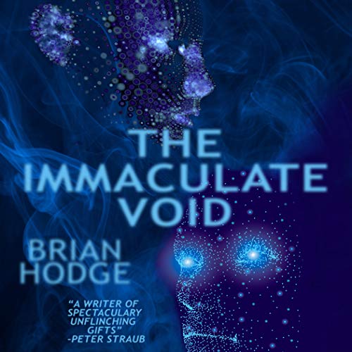 Cover of The Immaculate Void