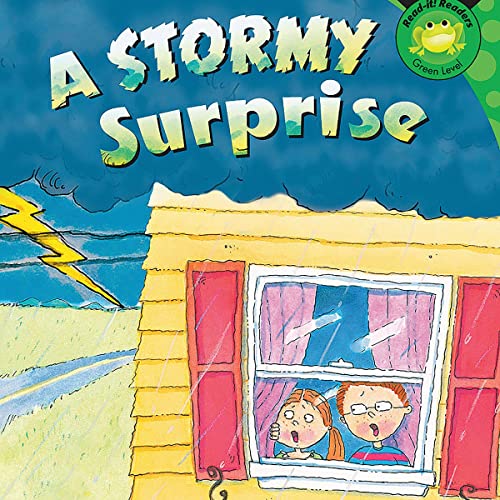 Cover of A Stormy Surprise