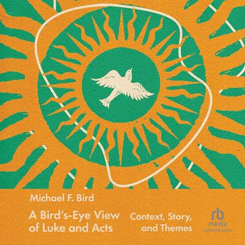 Cover of A Bird's-Eye View of Luke and Acts