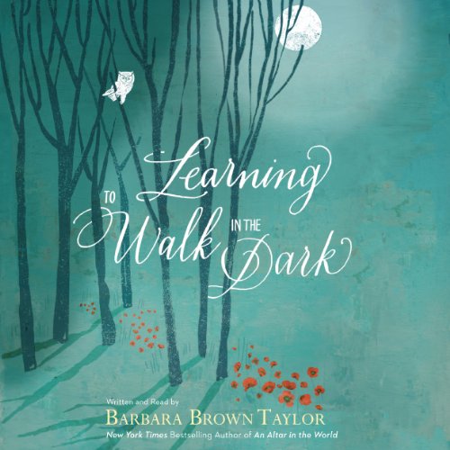 Cover of Learning to Walk in the Dark