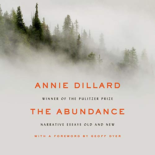 Cover of The Abundance