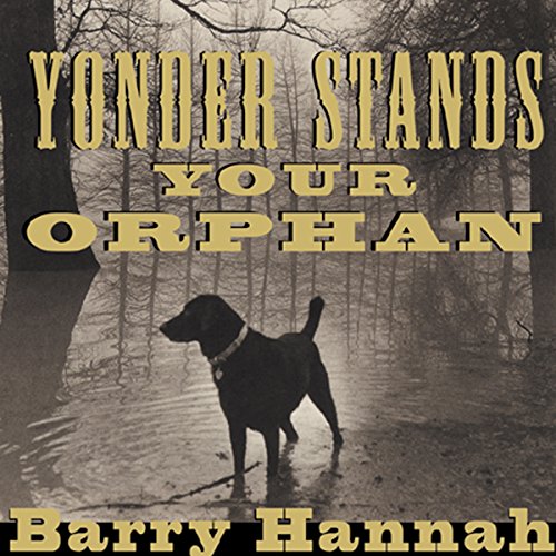Cover of Yonder Stands Your Orphan