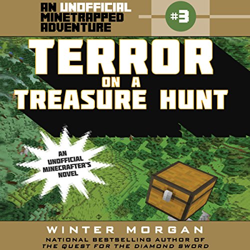 Cover of Terror on a Treasure Hunt