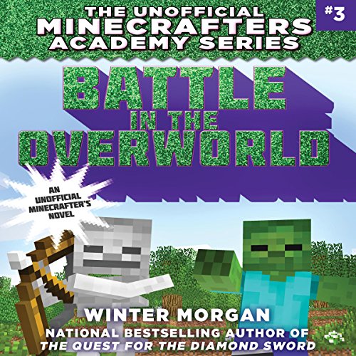 Cover of Battle in the Overworld