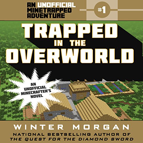 Cover of Trapped in the Overworld