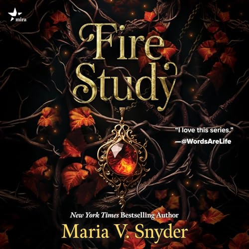 Cover of Fire Study