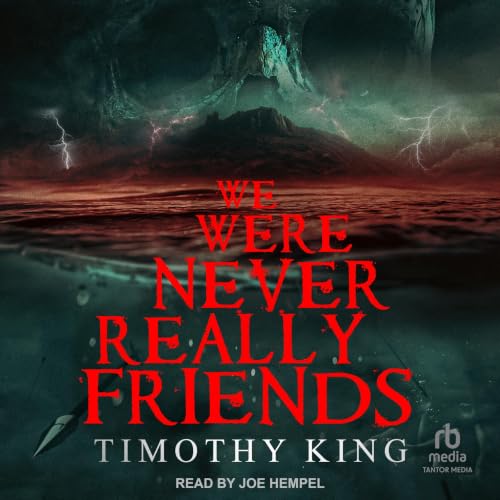 Cover of We Were Never Really Friends