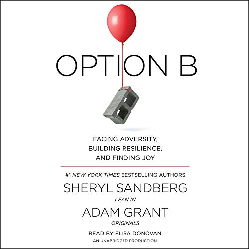 Cover of Option B