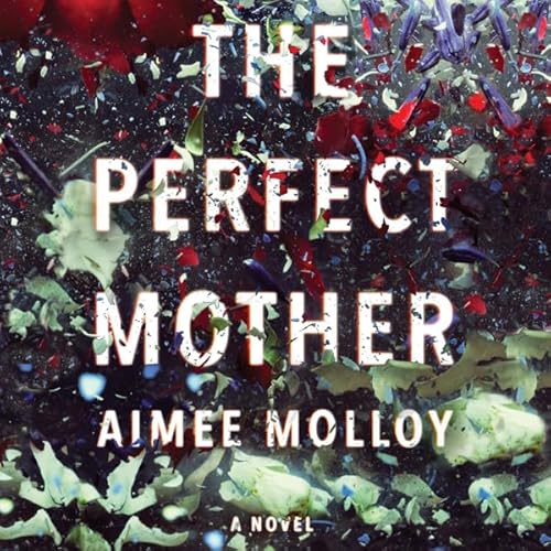 Cover of The Perfect Mother