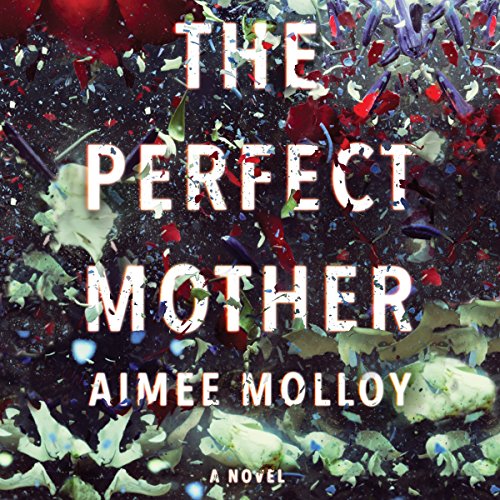 Cover of The Perfect Mother