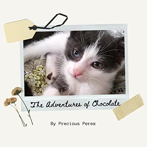Cover of The Adventures of Chocolate