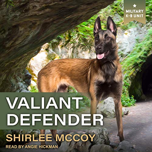 Cover of Valiant Defender
