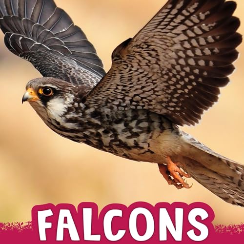Cover of Falcons