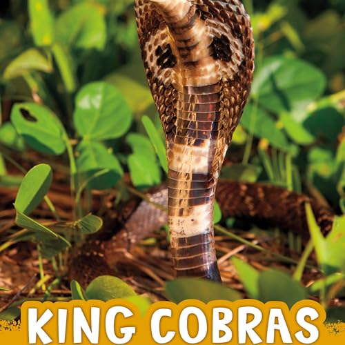 Cover of King Cobras