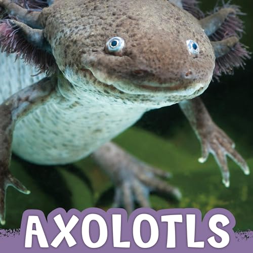Cover of Axolotls