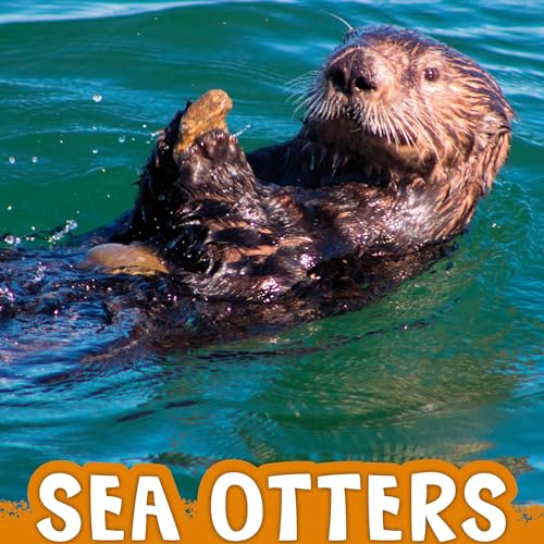 Cover of Sea Otters