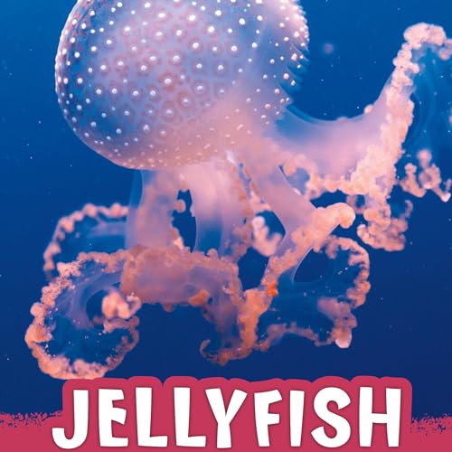Cover of Jellyfish