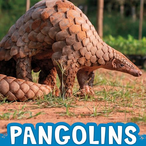 Cover of Pangolins