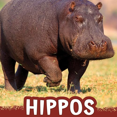 Cover of Hippos